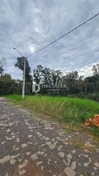Vista externa de uma estrada de terra com vegetação ao longo de uma propriedade.