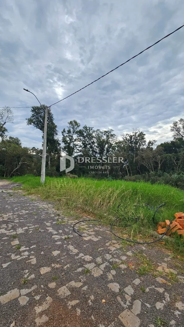 Vista externa de uma estrada de terra com vegetação ao longo de uma propriedade.