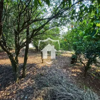 Casa com 2 dormitórios, foto 4