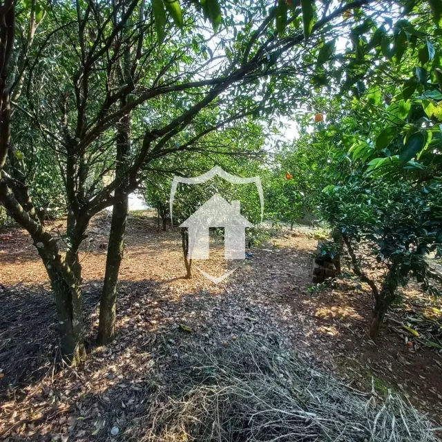 Casa com 2 dormitórios, foto 4