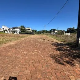 Foto de um caminho de terra batida em uma área externa.
