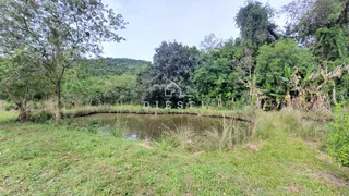 Área rural, foto 19