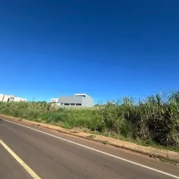 Vista de uma estrada rural sob um céu azul claro.