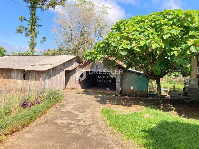 Área rural com 3 dormitórios, foto 2