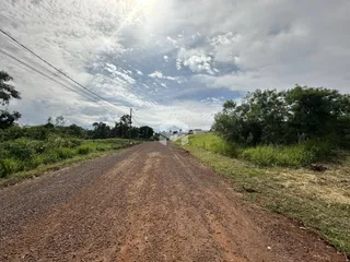 Uma estrada de terra se estende por uma área com vegetação densa.