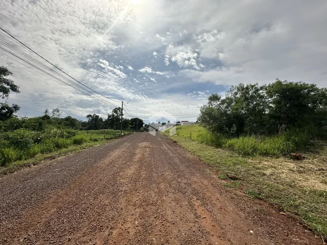 Uma estrada de terra se estende por uma área com vegetação densa.