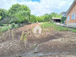 Terreno, foto 4