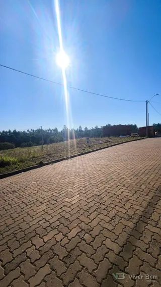 Terreno, foto 3