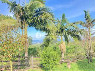 Área rural com 2 dormitórios, foto 10