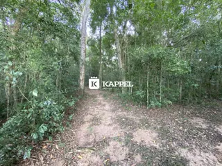Área rural com 3 dormitórios, foto 26