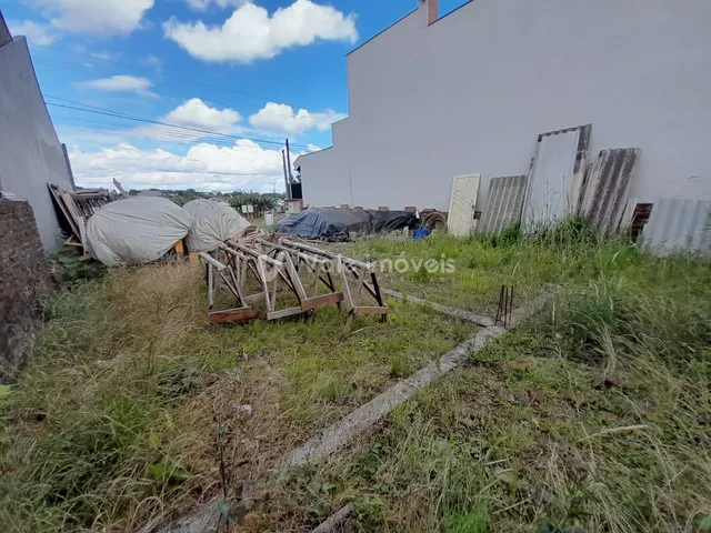 Terreno, foto 2