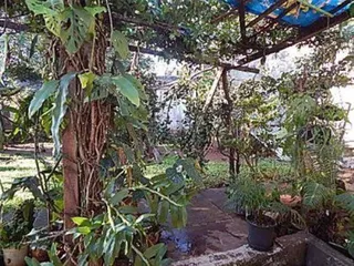 Casa com 3 dormitórios, foto 4