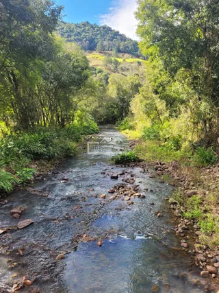 Área rural com 2 dormitórios, foto 6