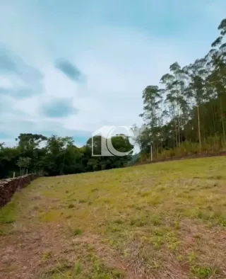Área rural com 3 dormitórios, foto 11