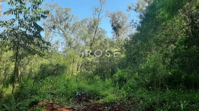 Área rural, foto 4