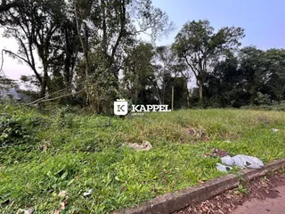 Paisagem externa com vegetação densa e grama alta em uma área de terreno.