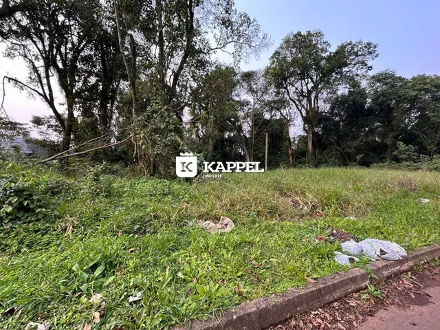 Paisagem externa com vegetação densa e grama alta em uma área de terreno.