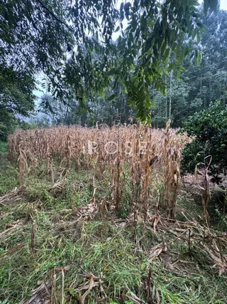 Área rural, foto 13
