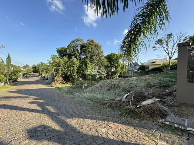 Terreno, foto 2