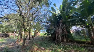 Área rural, foto 6