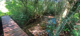 Área rural com 1 dormitório, foto 11