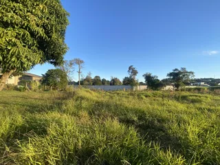 Paisagem externa com grama alta e árvores sob um céu azul.