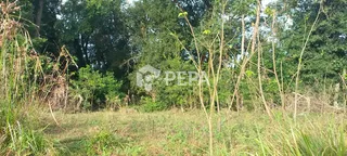 Área rural, foto 14
