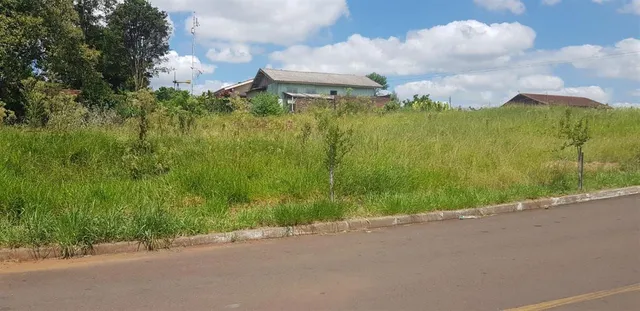 Terreno, foto 3
