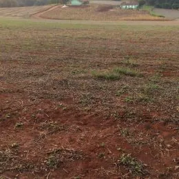Área rural, foto 7