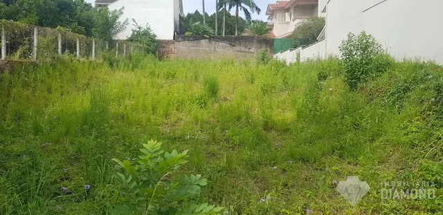 Terreno, foto 2