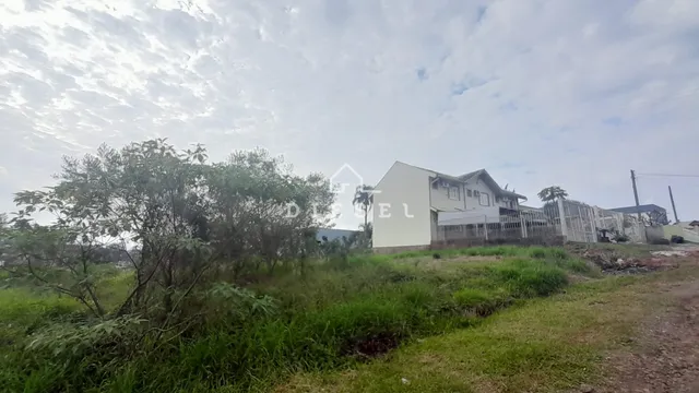 Terreno, foto 3