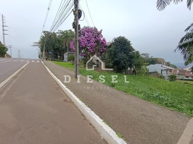 Terreno, foto 3