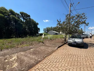 Vista externa de uma propriedade com vegetação e estrada no Brasil.