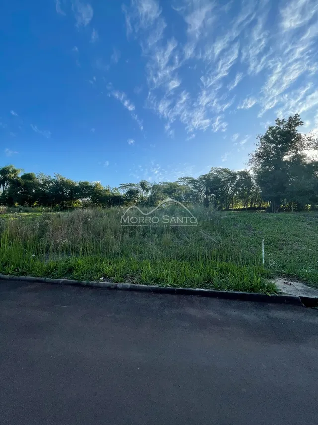 Uma vista externa de um campo gramado com árvores ao fundo.