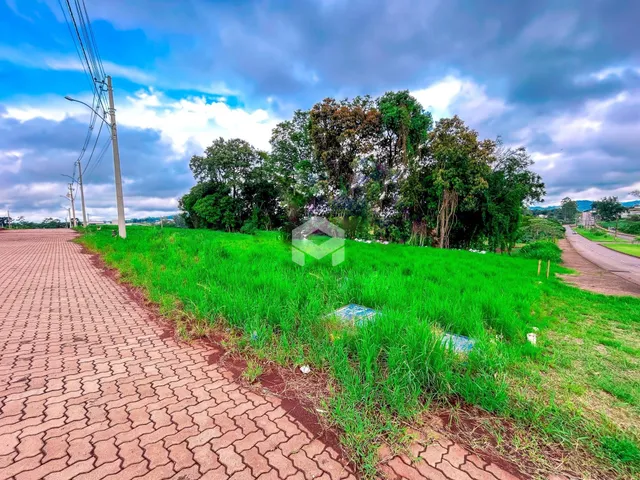 Paisagem de grama verde e árvores ao lado de uma estrada pavimentada.