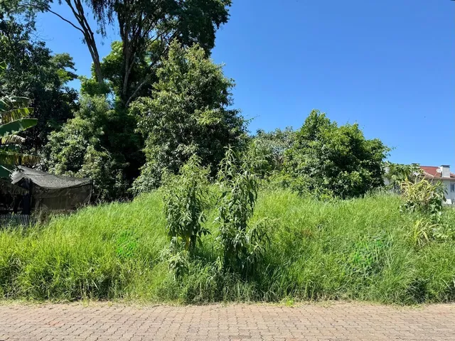 Terreno, foto 2