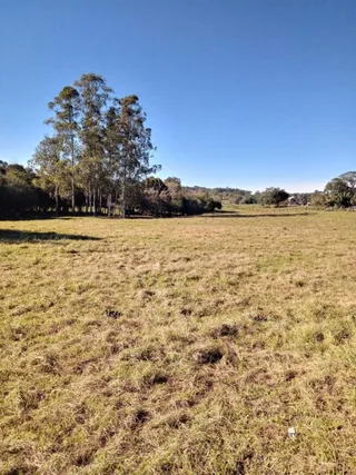 Área rural com 4 dormitórios, foto 22