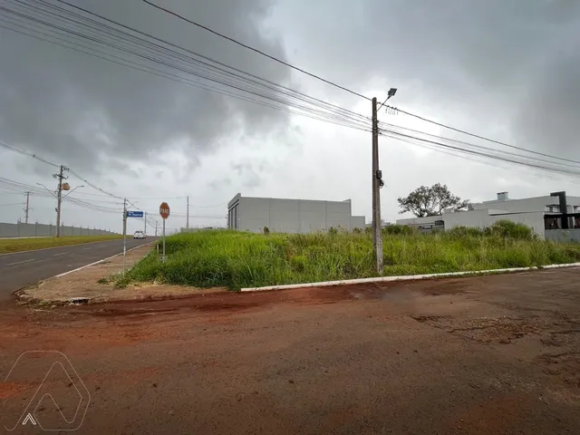 Terreno, foto 3