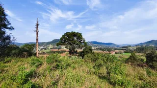 Paisagem de campo com vegetação densa em primeiro plano e colinas ao fundo.