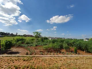 Terreno, foto 1