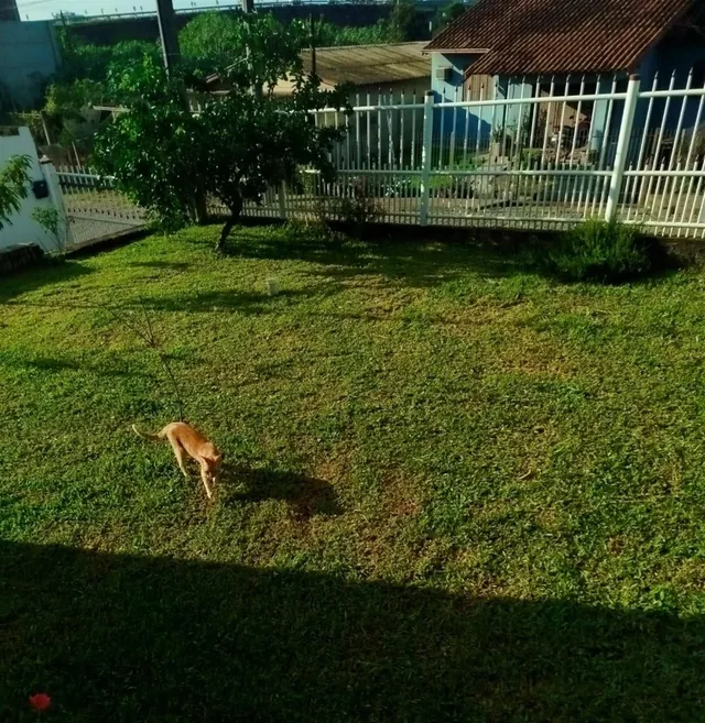 Casa com 2 dormitórios, foto 2