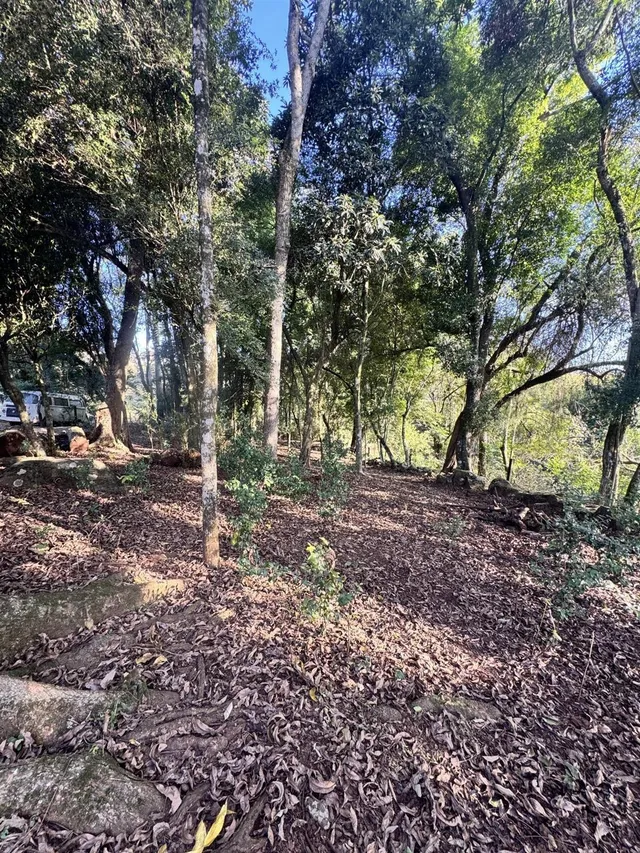 Área rural, foto 4