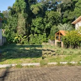 Vista externa mostrando um gramado com vegetação densa ao fundo.