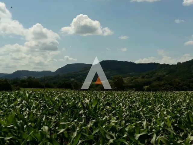 Área rural, foto 2