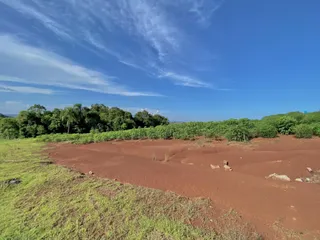 Terreno, foto 2