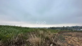 Terreno, foto 6