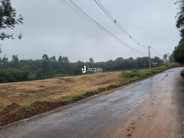 Vista da estrada e vegetação ao lado de uma propriedade em Lajeado.