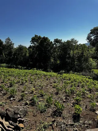 Área rural, foto 9