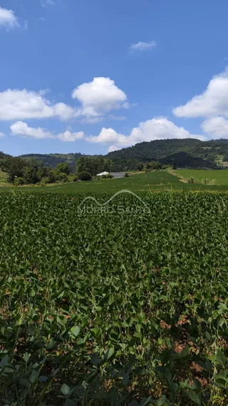 Área rural, foto 6
