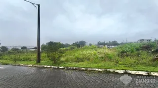 Terreno, foto 2